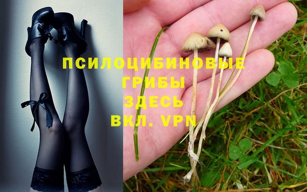 2c-b Верхний Тагил