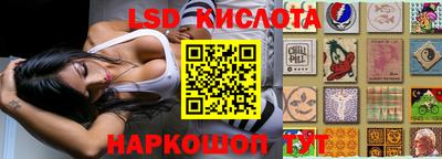 гидра Будённовск