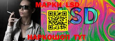 гидра Будённовск