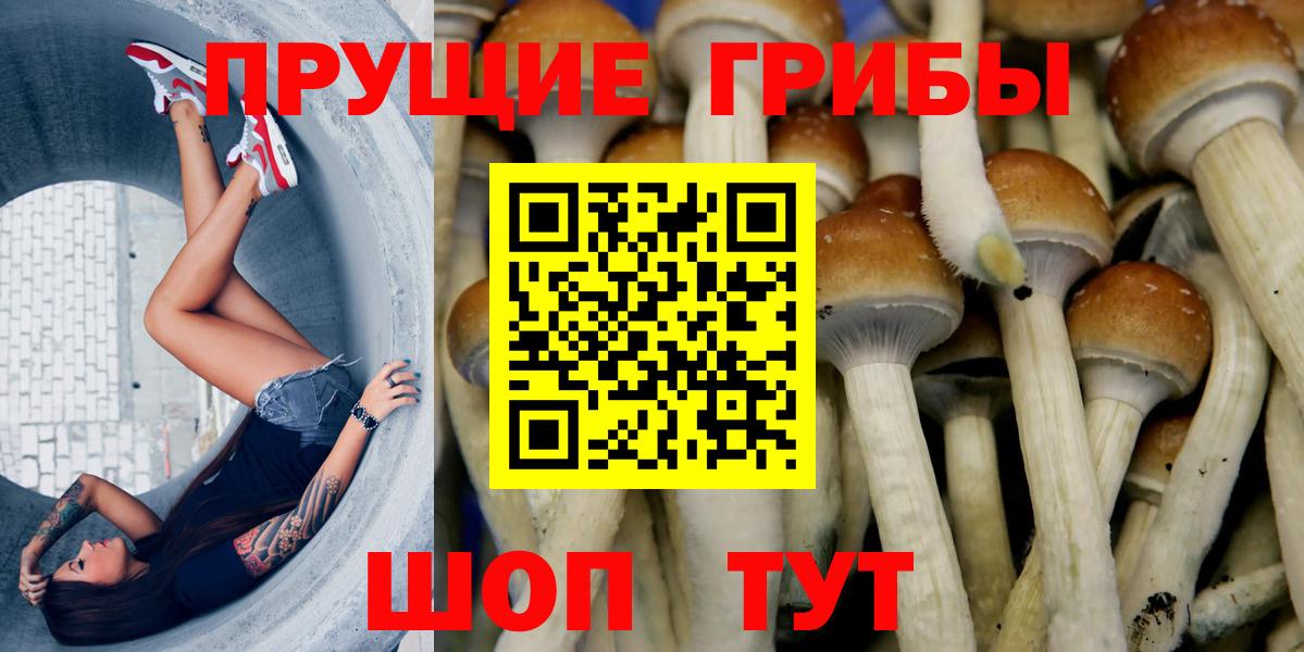 Галлюциногенные грибы Cubensis  Псилоцибиновые грибы прущие грибы  Вход с VPN  Выкса 