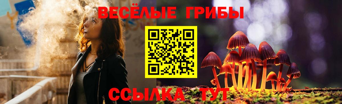 Галлюциногенные грибы Psilocybine cubensis Выкса