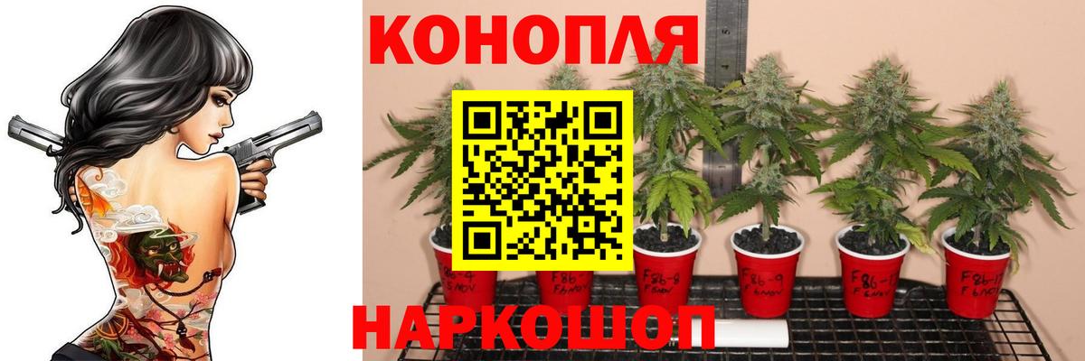 Шишки марихуана White Widow  Вход с VPN  Выкса  Бошки марихуана планчик  Конопля гибрид 